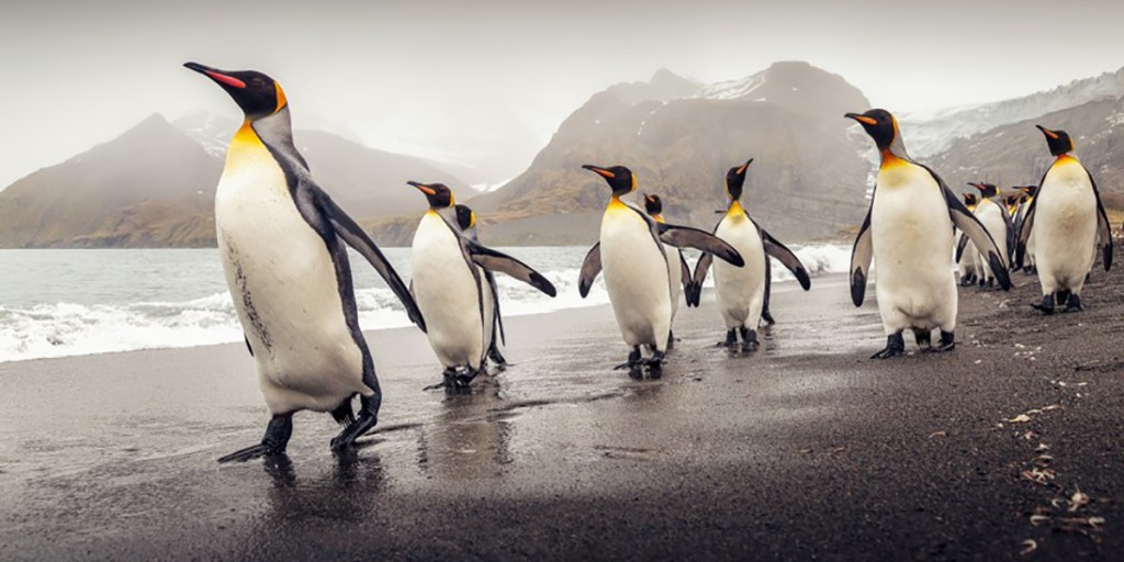 Three powers for exceptional Leadership